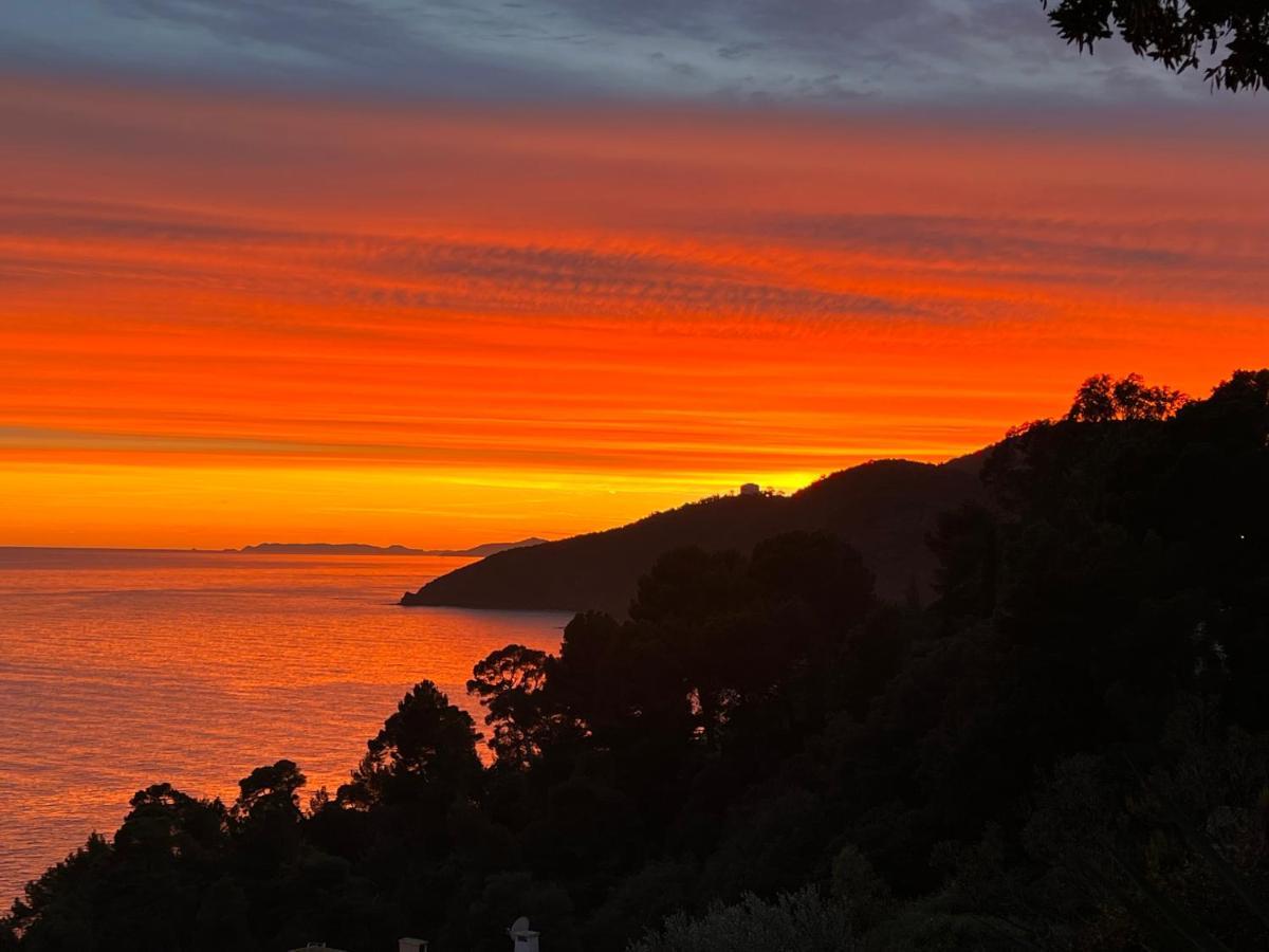 Magnifique Villa Neuve Vue Mer Cavalaire-sur-Mer Bagian luar foto